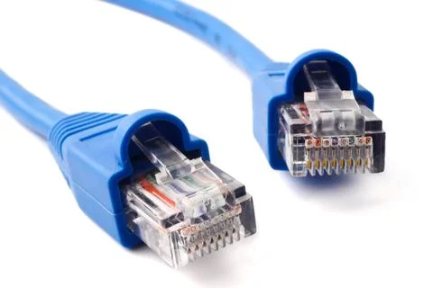 LAN network connection cable on white background. Stock Photos