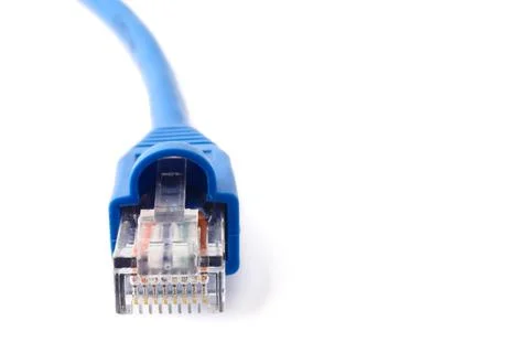 LAN network connection cable on white background. Free space for text Stock Photos