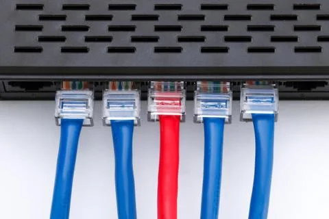 LAN network switch with ethernet cables plugged in Foto stock