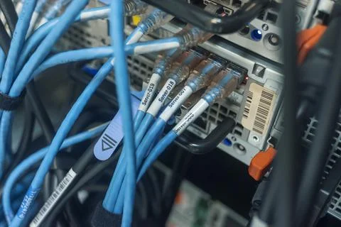 LAN Networking Stock Photos