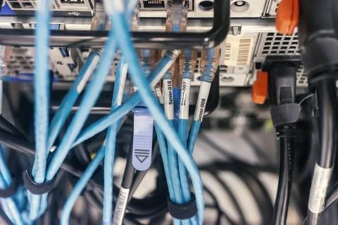 LAN Networking Stock Photos