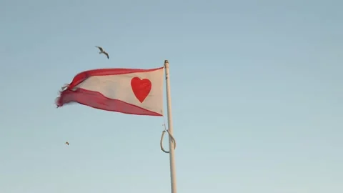 Lanarkshire county flag blowing in the wind Stock Footage 138965874
