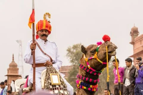 Lancer on a Camel Stock-Fotos