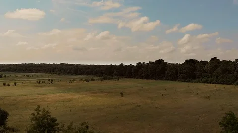 Land and forest...drone, going up... Vidéo 122320350