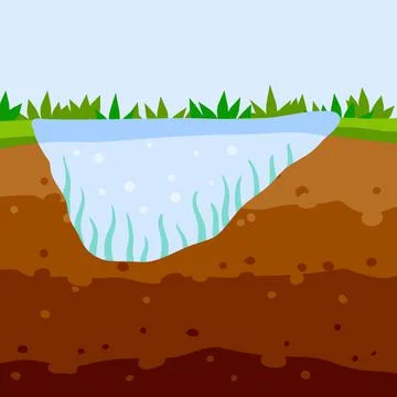 Land and pond in the section. The bottom of lake and river with algae イラスト素材