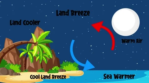 Land And Sea Breeze Animation Showing Da 