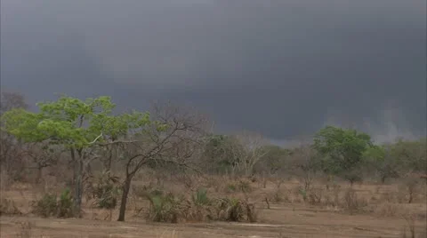 Land and trees under cloudy sky. Niassa Reserve, Mozambique. Stock-Footage 23752614