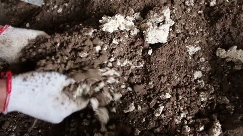 Land buried by hand Stock Footage 78169472