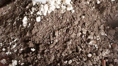 Land buried by hand Stock Footage 78169581