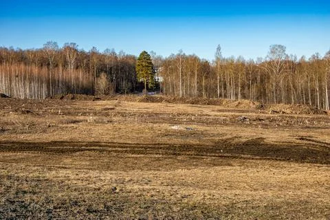 Land Clearing for Construction Site with Tree Stumps and Soil Preparation Stock Photos