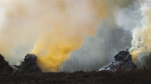 Land Clearing Controlled Burn 스톡 동영상 57827475