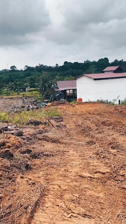Land clearing Stock Footage 342688456