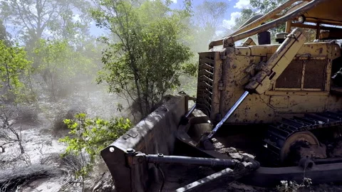 Land Clearing Work, Rainforest Degradation, Tracked Vehicle Machinery Stock Footage 339379964