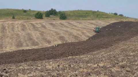 Land cultivation. Tractor prepares land for sowing. Stock Footage 123733308