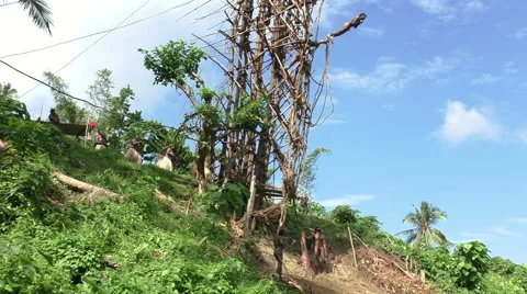 Land Diving (Bungee Jumping), Vanuatu Stock Footage 40864485