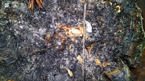 Land fire Stock Photos