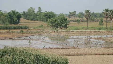 Land Stockbeeldmateriaal 278384294