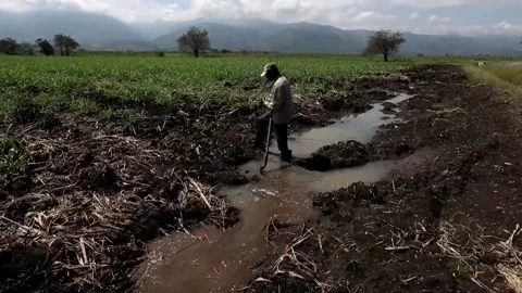 Land invasions, an old problem that grows in Colombia, Caloto, CO - 19 Sep 2022 Stock Footage 211465179