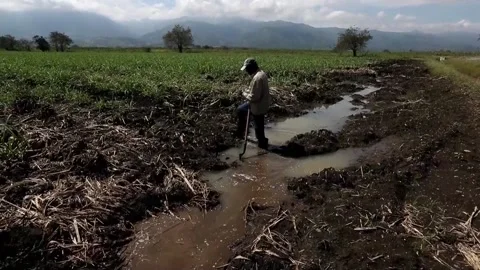 Land invasions, an old problem that grows in Colombia, Caloto, CO - 19 Sep 2022 Stock Footage 211487087