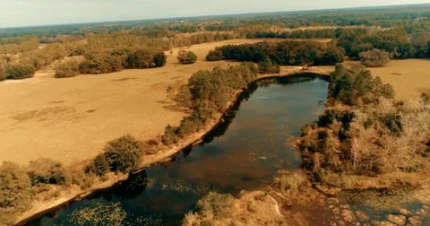 Land O' Lakes, Florida field autumn, fall Aerial view drone landscape Stock Footage