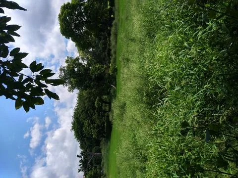 Land Stockfoto's