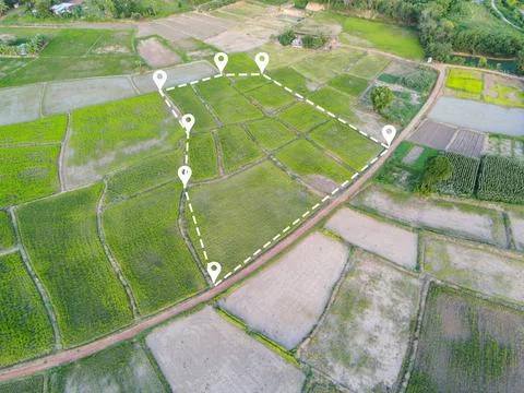 Land plot in aerial view, Top view land green field agriculture plant with pi Stock Photos