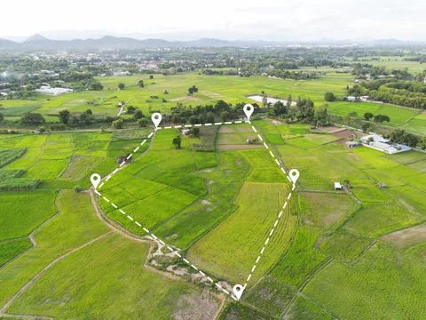 Land plot in aerial view, Top view land green field agriculture plant with pi Stock Photos