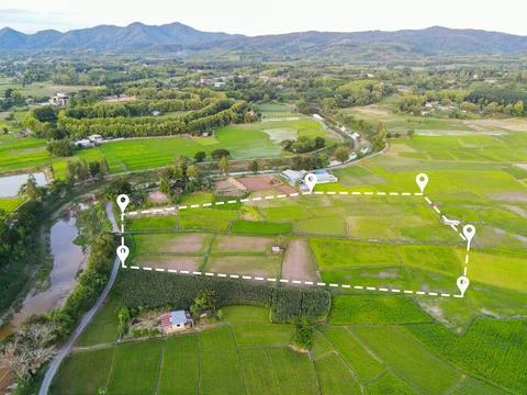 Land plot in aerial view, Top view land green field agriculture plant with pi Stock Photos
