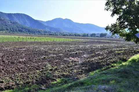 Land plot  for sowing Stock-Fotos