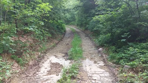 Land route through the Forest using trucks 스톡 동영상 111760812