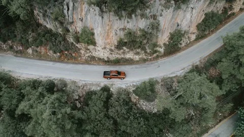 A Land Rover on a forest road Stock Footage 228828033