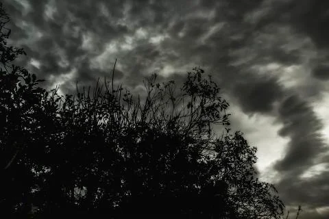 Land scape Stock Photos