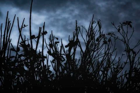 Land scape Stock Photos