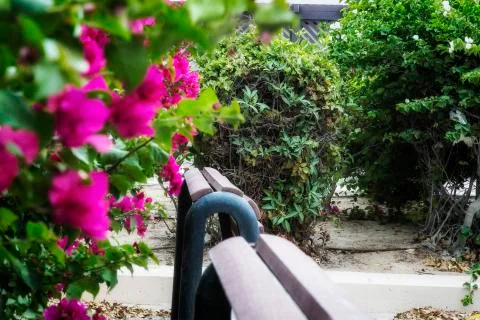 Land scape Stock Photos