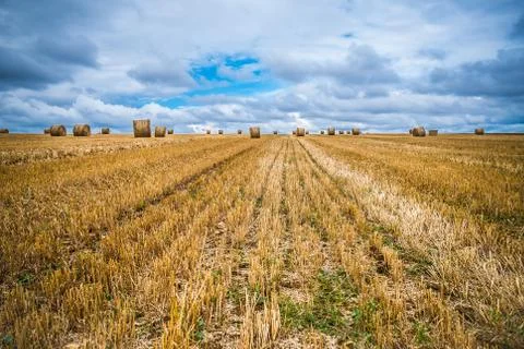 Land of sheaves Stock Photos