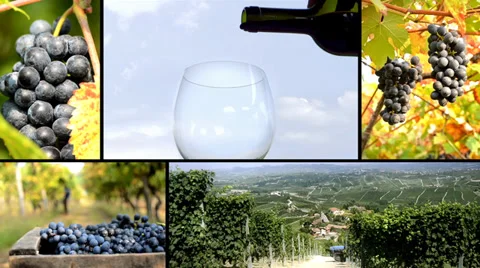 Land of wine, collage Video stock 33712270