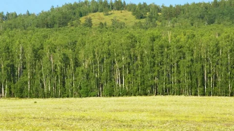 Land3 Stock Footage 339024127