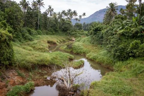 Landcape image of a tiny tributary of the Periyar river in Kerala, India Stock Photos