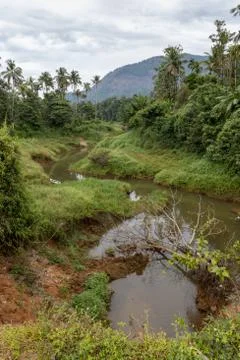 Landcape image of a tiny tributary of the Periyar river in Kerala, India Stock Photos