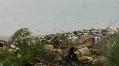 Landfill 1080p 03 Stock Footage