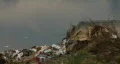 Landfill 1080p 04 HD Footage