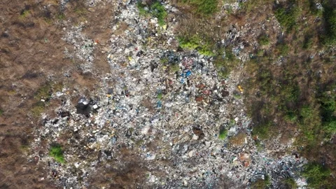 Landfill area gradually covered by vegetation environmental recovery Stock Footage 310115609