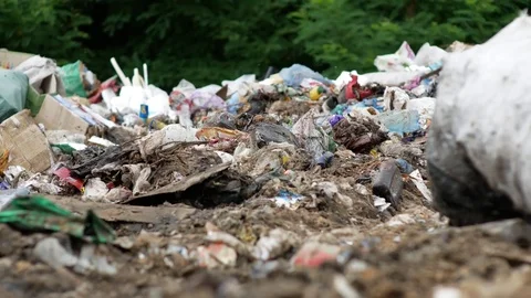 Landfill close-up with many flies Stock Footage
