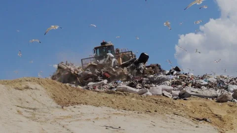 Landfill Video stock 89057186