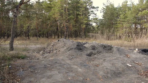 Landfill in the forest Stock Footage 119352526