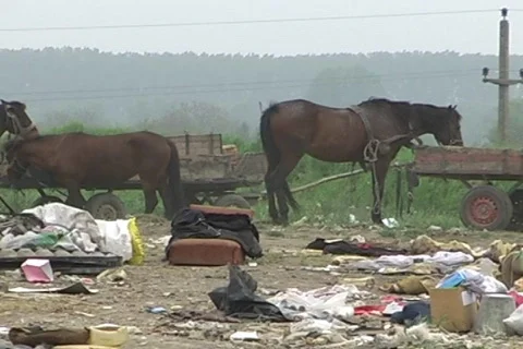 Landfill garbage and waste Stock Footage
