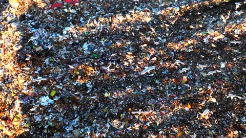 Landfill with garbage disposal. Stock Footage 219865063