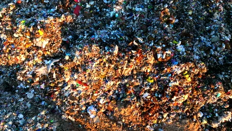 Landfill with garbage disposal. Stock Footage 219865563