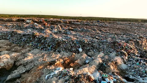 Landfill with garbage disposal. Stock Footage 219865658