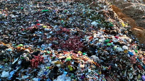 Landfill with garbage disposal. Stock Footage 219866712